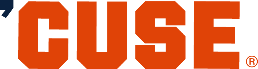 Syracuse Orange 2015-2017 Wordmark Logo diy DTF decal sticker